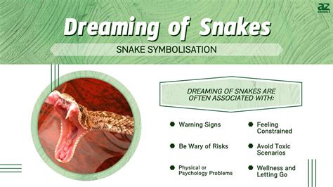 dreaming with snakes everywhere|dream of 2 snakes meaning.